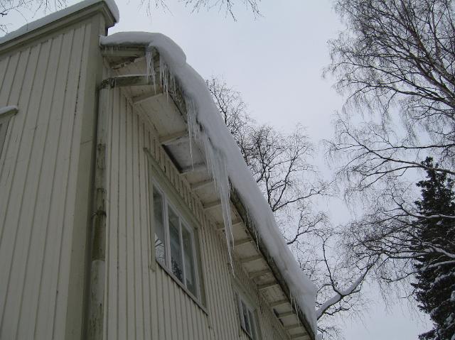 2010_talvi 012.jpg